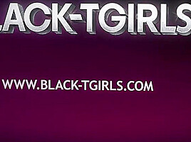 BLACK TGIRLS – Cache Demands To Gets Pounded Harder