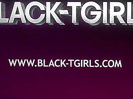 BLACK TGIRLS – Denver Thee Donn Needs The Best Cock