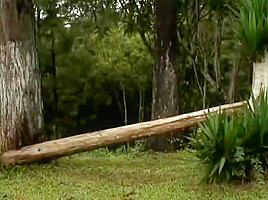 Walkira Drumond & Jhonatan Cawa: Wild Anal Experience With Walkiria Drumond
