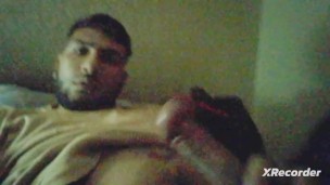 my cock.